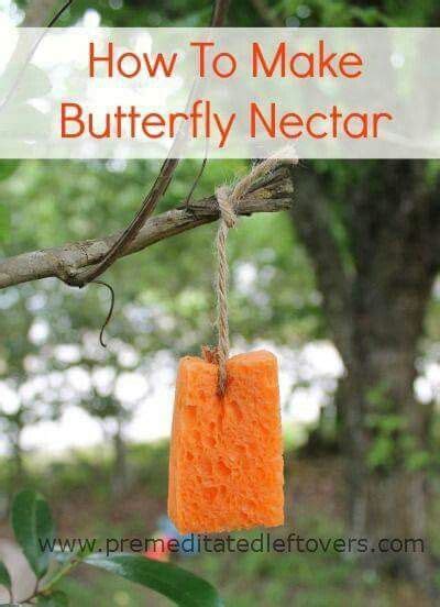 Butter Fly Nectar Recipe Garden Projects