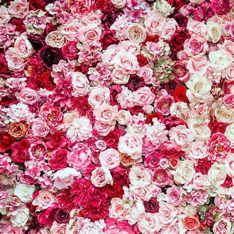 Vibrant Pink Flower Wall Melbourne Event Florals