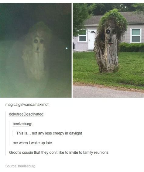 7 Spine Chilling Tree Tumblr Funny Creepy Pictures Memes