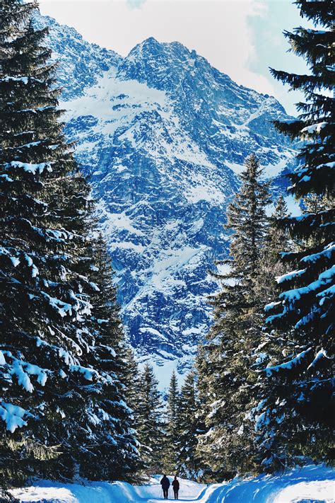 Download Wallpaper 3277x4917 People Winter Mountains