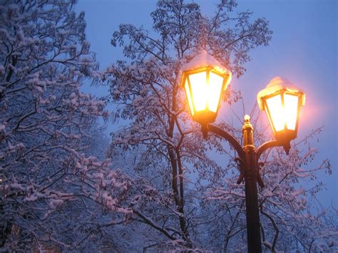Lantern Winter Snow Light Trees Wallpapers Hd Desktop And Mobile