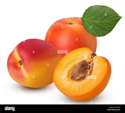 Two Fresh Ripe Apricot With Leaf One Cut In Half With Bone Isolated On