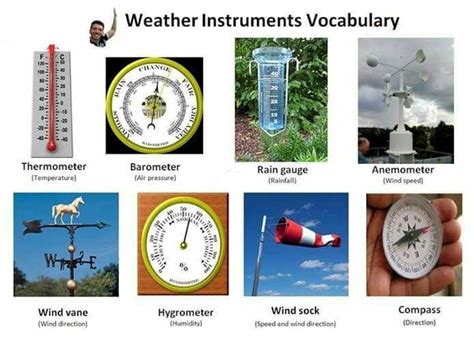 Weather Instruments Weather Instruments Wind Vane Rain Gauge