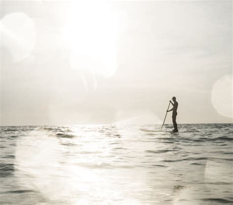 Stand Up Paddle Boarding In New Zealand Sup Companies