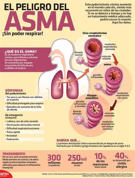 Qu Es El Asma S Ntomas Y Tratamiento Infograf As Y Remedios