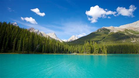 Maligne Lake In Jasper Alberta Expedia