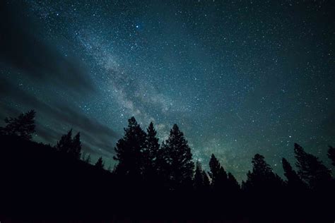 Download Night Forest Sky Star Milky Way Hd Wallpaper By