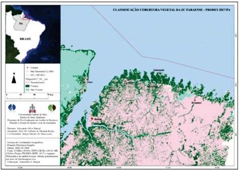 Mapa Da Classifica O Da Cobertura Vegetal Da Zona Costeira Paraense Download Scientific