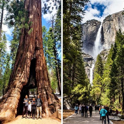5 Incredible National Parks In California Not To Miss