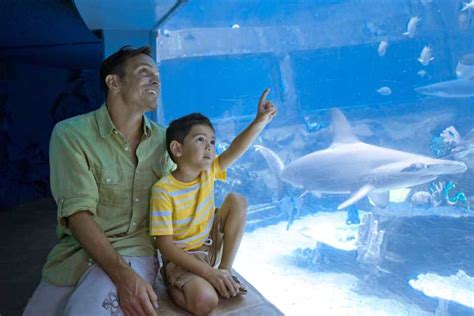 Oahu Sea Life Park General Admission Ticket Getyourguide