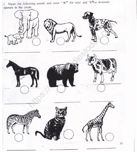 Cbse Class 1 Evs Animals Around Us Worksheet Set B Practice Worksheet