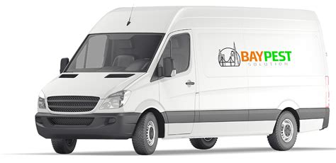 Contact our local office today! Bay Pest | Effective & Reliable Pest Control Services In ...