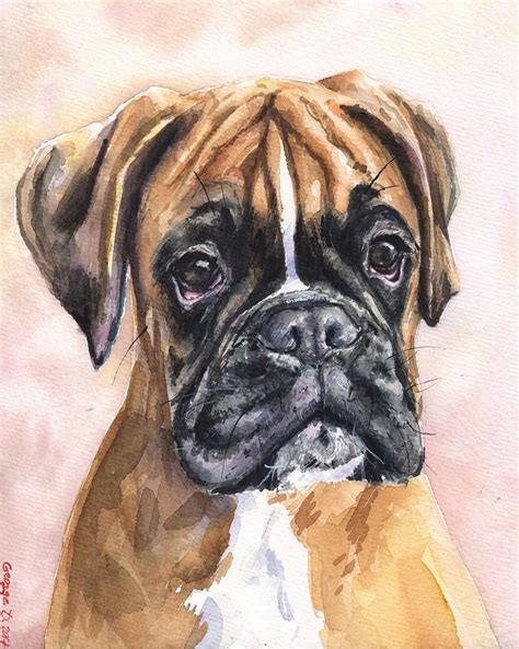 Boxer Watercolor Print Of The Original Painting Art Cute Sweet Dog