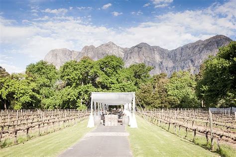 Beach, vineyard, city venues and more. Weddings in Cape Town {Ultimate Guide} (With images ...