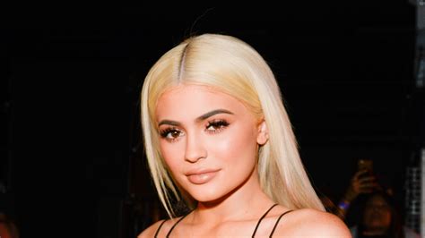 Kylie Jenner Cosmetics Careers Famous Person