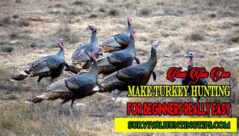 How You Can Make Turkey Hunting For Beginners Really Easy