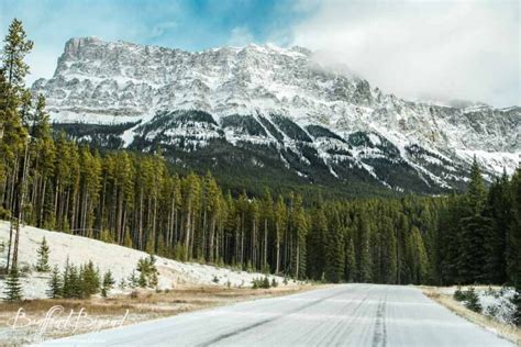 Bow Valley Parkway A Scenic Drive In Banff Banffandbeyond