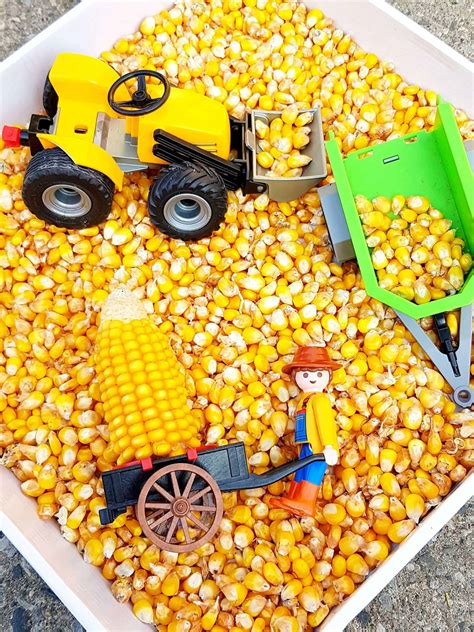 Awesome Corn Sensory Bin For Kids Age 3
