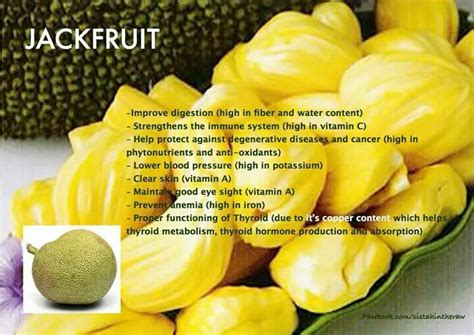 Health Benefits Of Jackfruit Infographic Nutrition Body Food Fruit