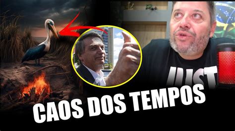 Pelicanos Alados O Enigma da Sobrevivência no Caos dos Tempos + Pastor