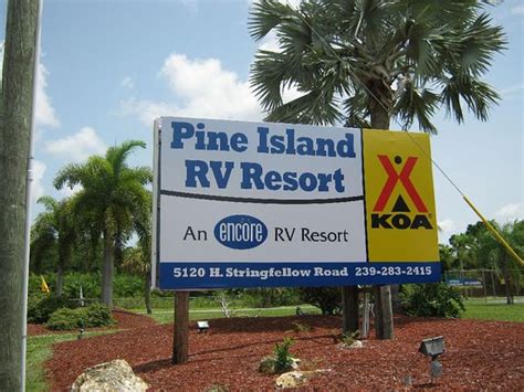 Maybe you would like to learn more about one of these? KOA Fort Myers / Pine Island - UPDATED 2017 Reviews ...