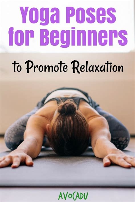 Yoga Poses For Beginners To Promote Relaxation Avocadu