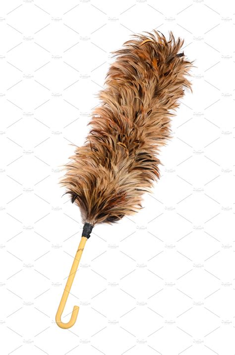 chicken feather duster | High-Quality Health Stock Photos ~ Creative Market