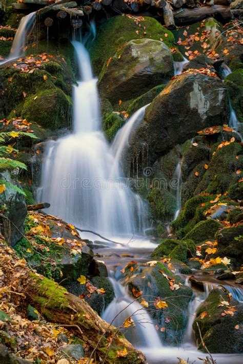 Waterfall In Autumn Forest Stock Photo Image Of Garden 18287078