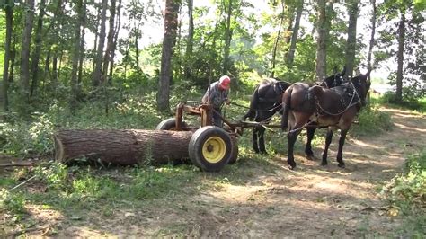 80 Year Old Mule Man Logging Youtube