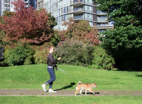 Maybe you would like to learn more about one of these? Finally, an app that makes the renting process simple and safe | Etcetera