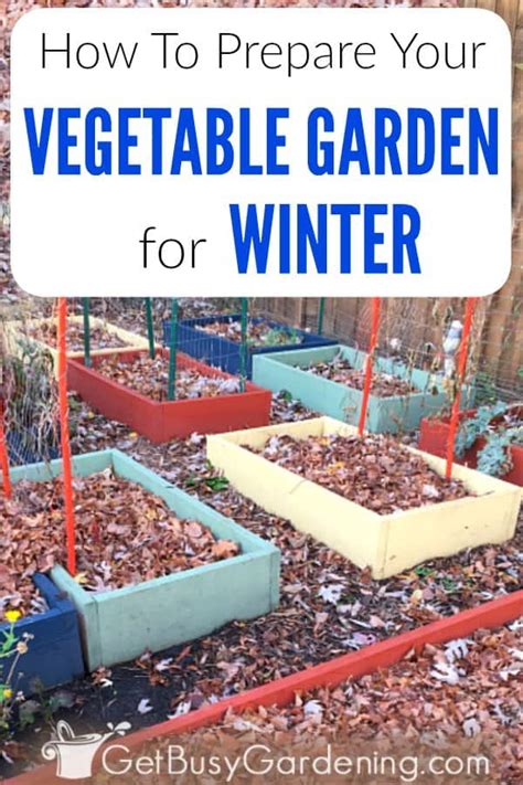 5 Steps To Prepare Your Vegetable Garden For Winter Get Busy Gardening
