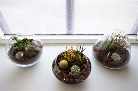 El truco es jugar con su posición hasta que encuentres un. DIY: CENTROS DE MESA CON CACTUS Y SUCULENTAS | Como hacer ...