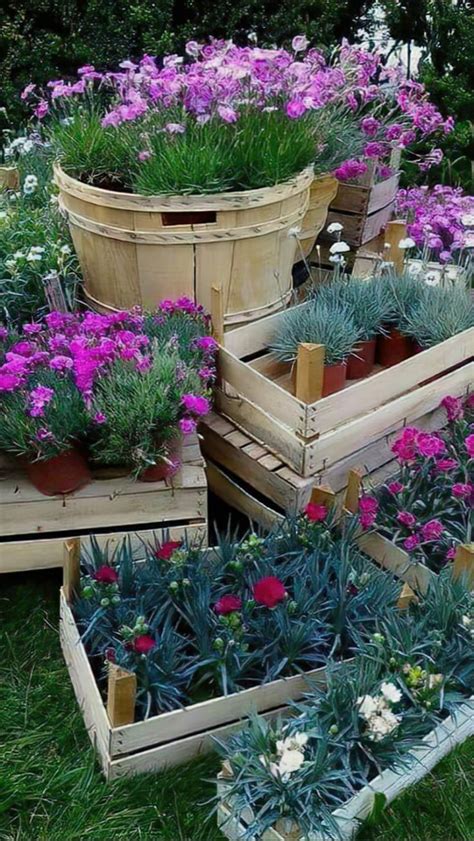 Container Gardening Pinterest