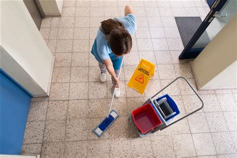Lindas Cleaning Services Of Sterling Heights Michigan