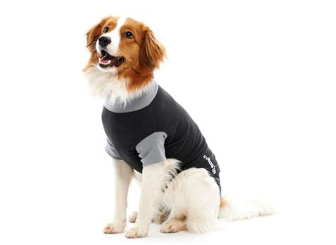 Buster Body Suit Classic For Dogs Post Operative Care