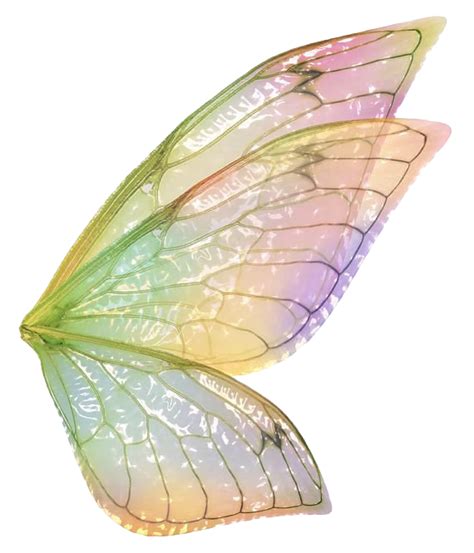 Fairy Wings Download Png Image Png Arts