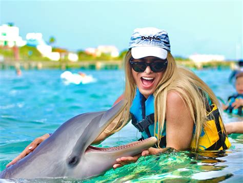 The Top 3 Places To Swim With Dolphins In Jamaica Laptrinhx News