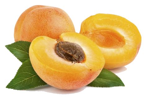 Apricot Png Download Free Apricot Fruit Images And Clipart