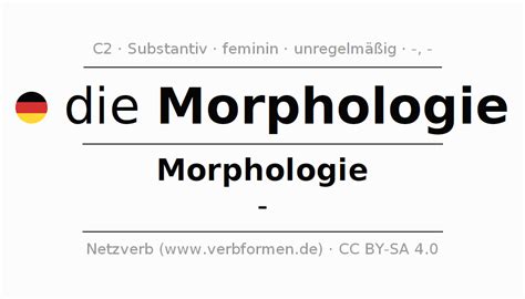 Deklination Morphologie Alle Fälle Des Substantivs Plural Und