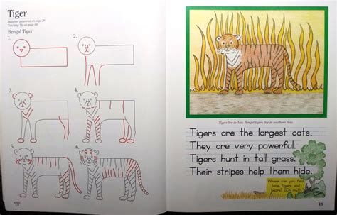 Tiger Lesson Draw Write Now 7 Draw Your World Draw And Write Together