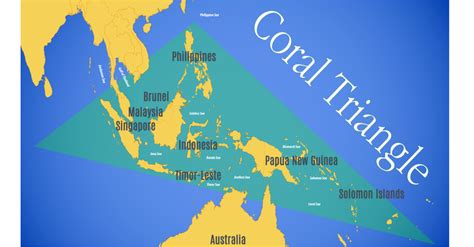 Indonesia Miliki Transek Terumbu Karang Terbanyak Di Global Reef Record