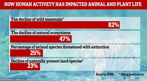 Humans Risk Wiping Out One Million Species Of Plants And Animals Un