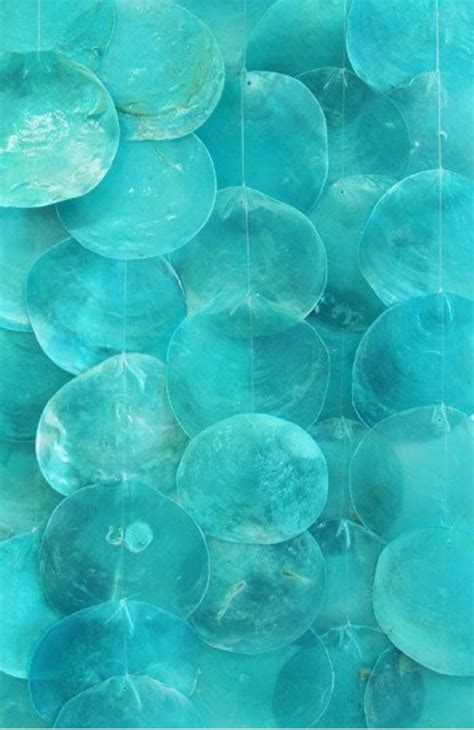 Pin By Carma Elliott On Teals And Tiffany Blues Shell Wind Chimes