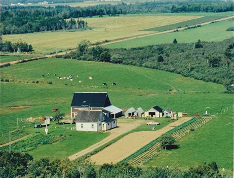 The Jeffery Homestead. Established 1860: 1982 Aerial Photo of Farm