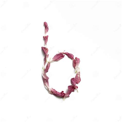 Alphabet Made Of Peony Petals Letter B Layout For Design Stock Image