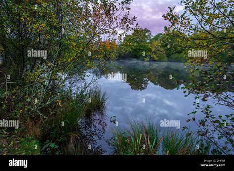Eyeworth New Forest Hi Res Stock Photography And Images Alamy