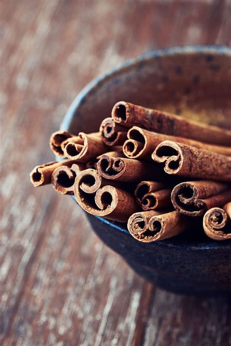 How To Grow Your Own Cinnamon Eco Snippets