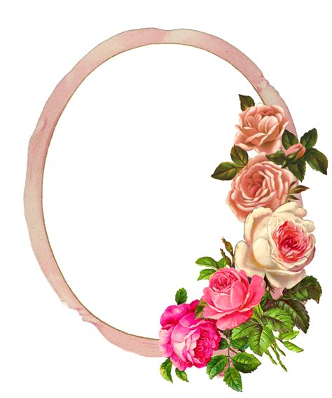 The Graphics Monarch Free Pink Rose Digital Flower Frame Download