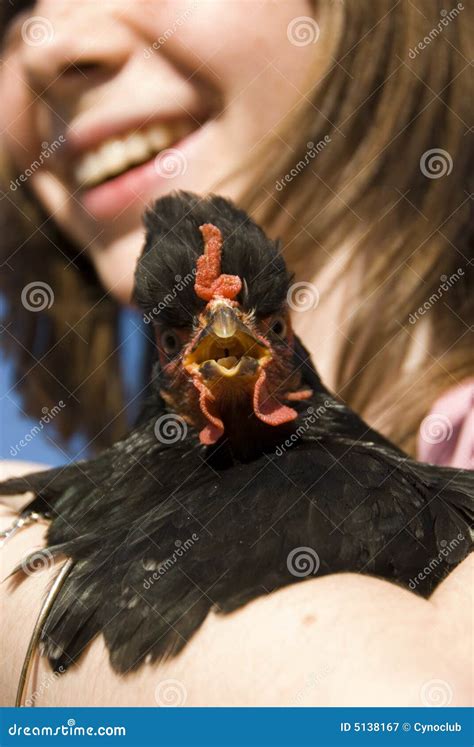 Kind Und Ihr Huhn Stockbild Bild Von Geflügel Stimmung 5138167