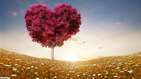 1280x720 Love Heart Tree 720p Hd 4k Wallpapers Images Backgrounds